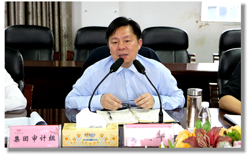 集團(tuán)黨委委員、紀(jì)委書記彭向華強調(diào)審計整改工作要深挖思想根源(圖2)