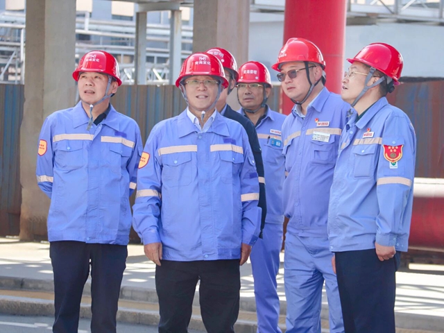 王大真到新疆、青海區(qū)域分子公司現(xiàn)場(chǎng)辦公(圖2)